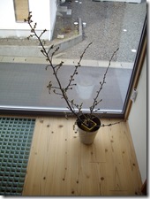 ちょっと大きいかな～