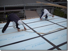 ワタクシも貼りましたよ～