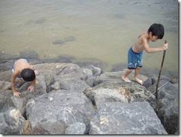 カニを見つけたらしい