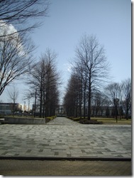 並木道っていいな～