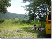 木陰でパクパク