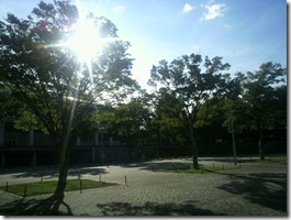 今日もいい天気～