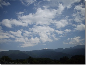 美しいコントラスト