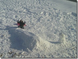 壊れそうです・・・