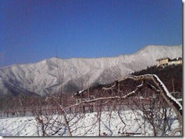 露天風呂が見えるかな？