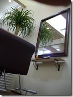 只今店舗内緑化計画実行中らしいです