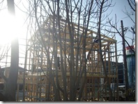 夕陽が、夕陽が～