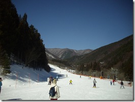 良いお天気ですこと