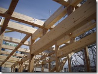 ま～、木がたくさんだわ