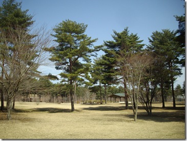 広いこと広いこと