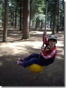 猿の進化の一部