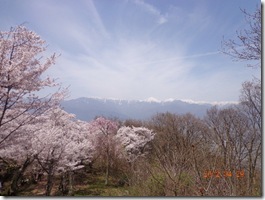 ナイスショット！