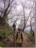 カリン様?亀仙人? カリン様?亀仙人?