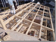 頑丈になってきました