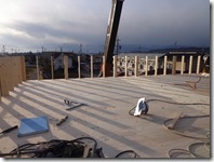 なんか生えている感じ