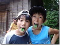 メロンのカキ氷ってことかな