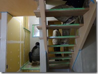 狭いわ、大変だわ