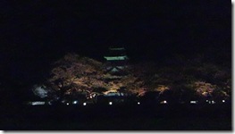 ライトーーーーーーアップ！！