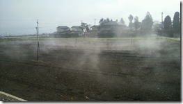 写真からは伝わらない[にほい]がどうも・・・