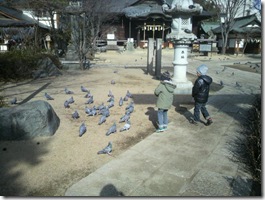 一粒ずつしかあげない彼ら