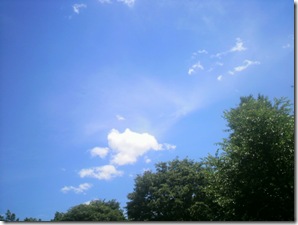 最近、空の写真をよく撮ります