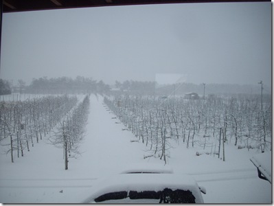 お～いかけて、ゆき～ぐに～